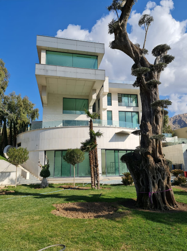 Luxury Home Windows
